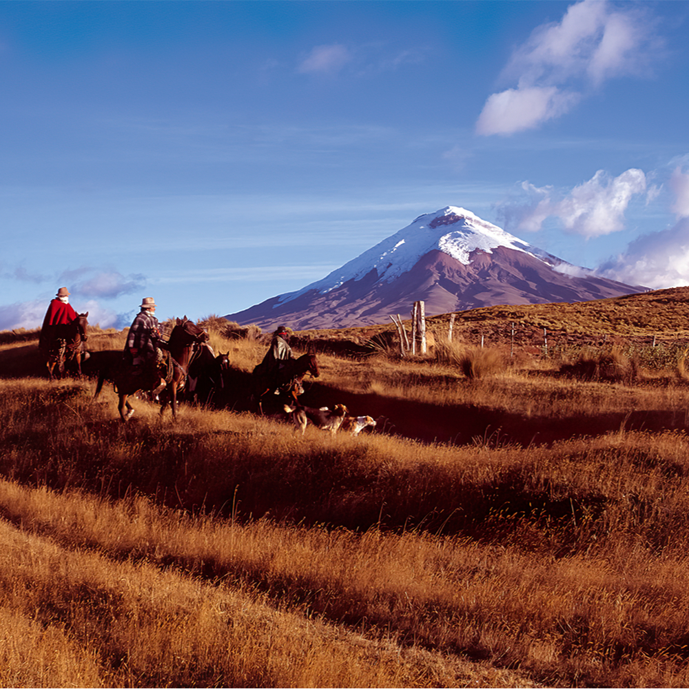 Ecuador wildlife and landscapes