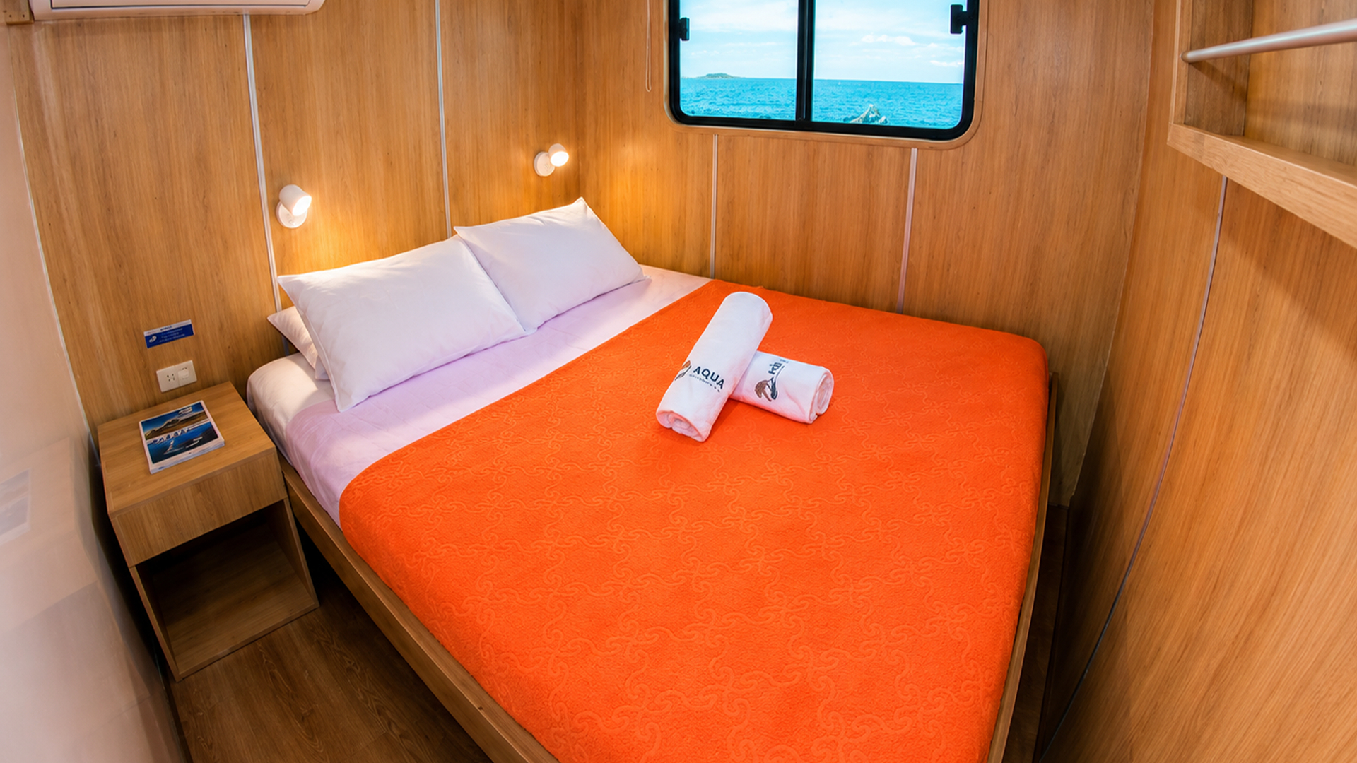 Underwater wildlife experience aboard Aqua
