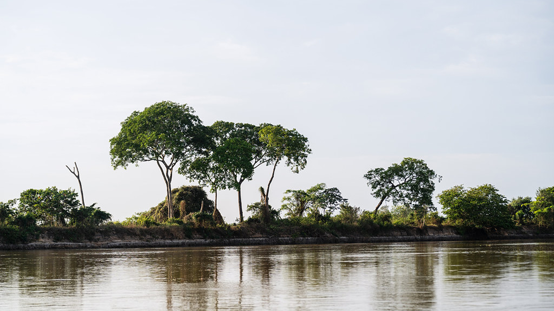 Pantanal South and North - Brazil